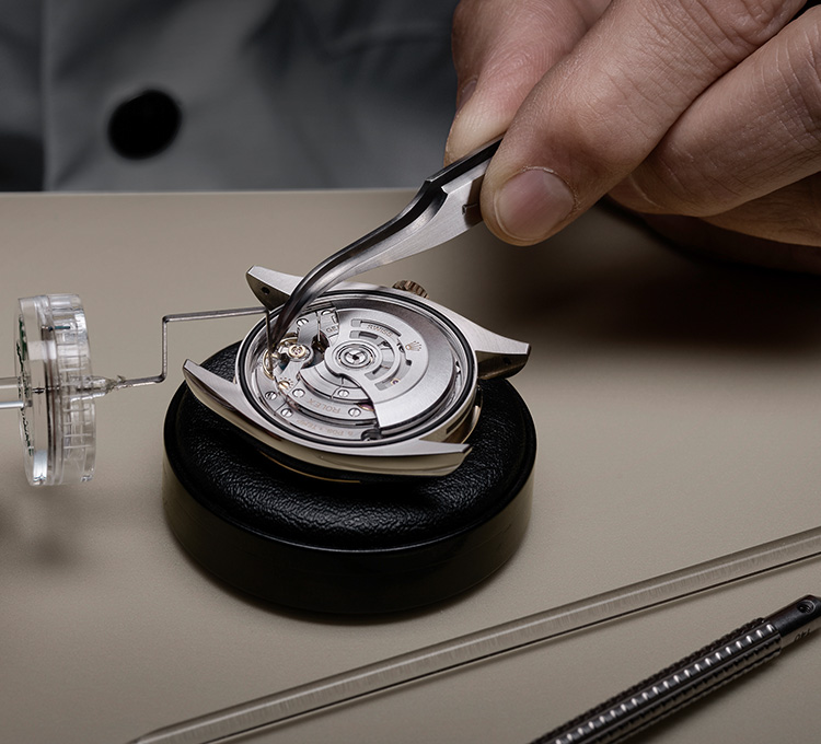 Rolex Wartungsverfahren